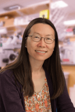 Yishi Jin, Ph.D.