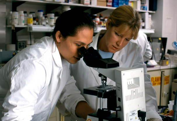 Two female scientists looking though microscope