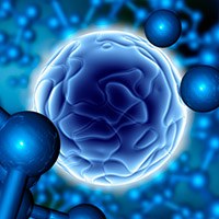 Molecular Biology and Biochemistry