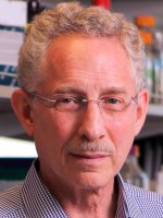 Carl Nathan, M.D.