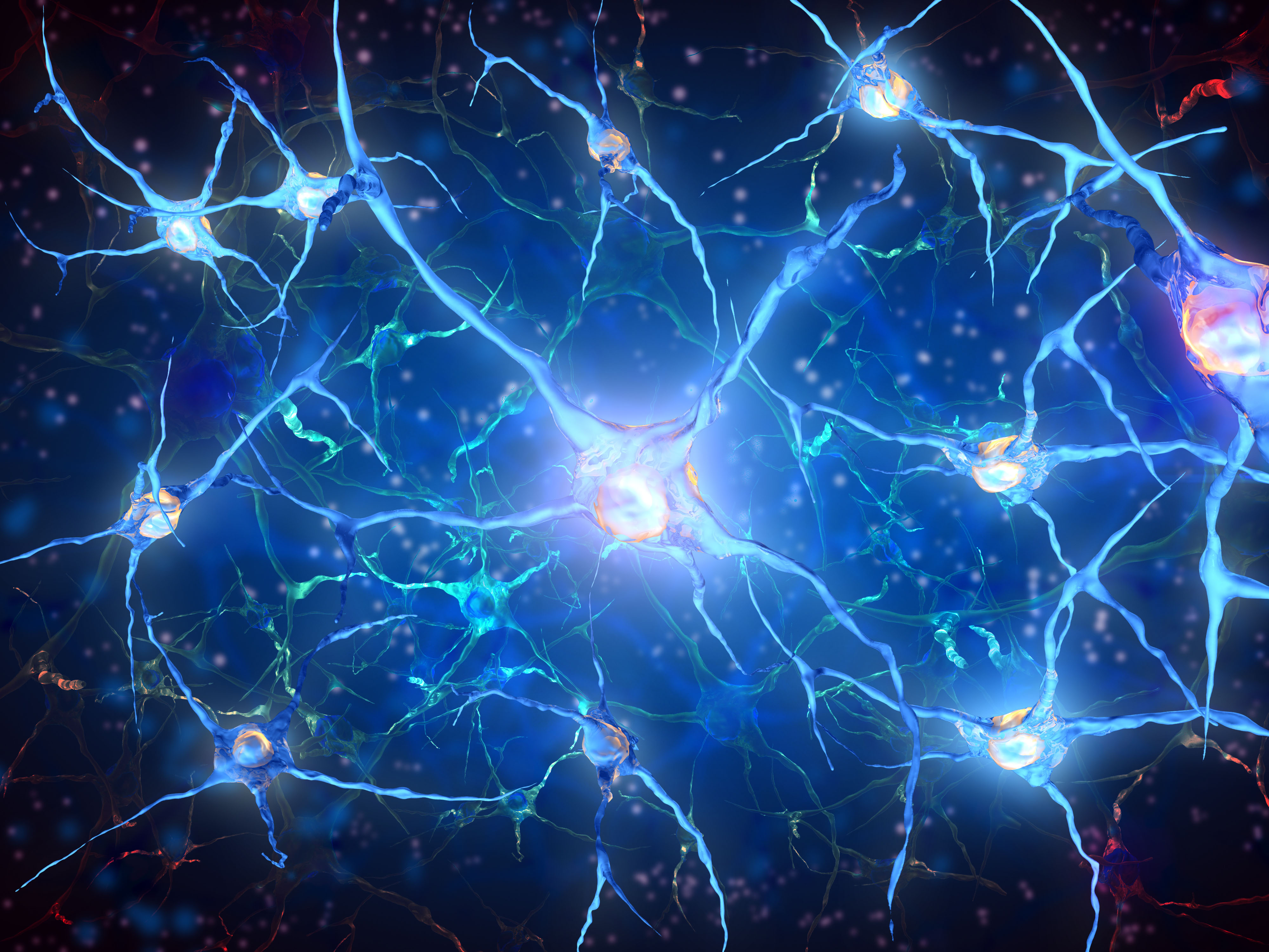 nerve-cell-shutterstock.jpg