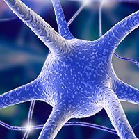 Neuroscience