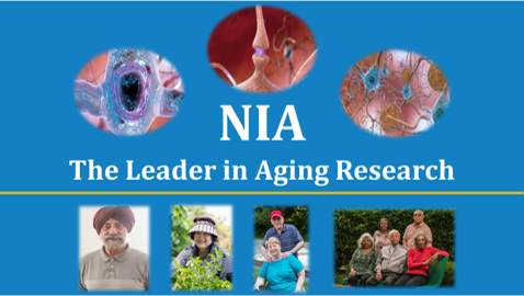 NIA, the leader in aging research