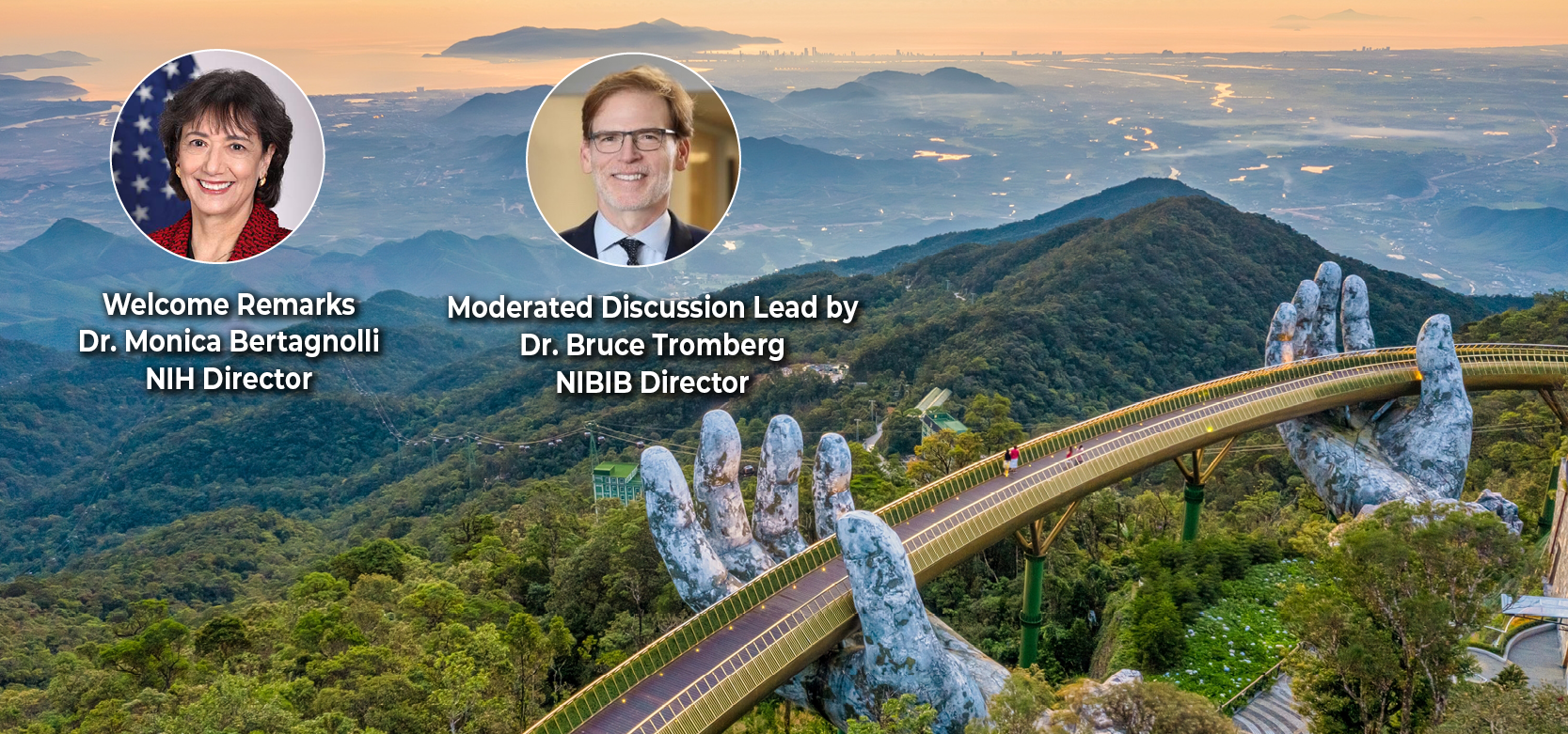 nibib24_buildingbridgesnih_web-banner_800x375_1.png