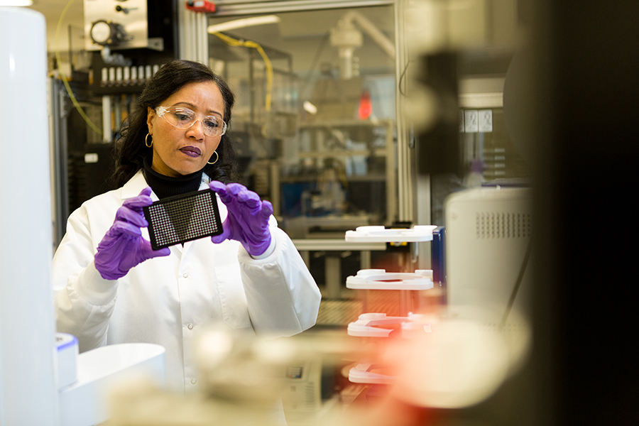 Crystal McKnight examines a compound source plate.