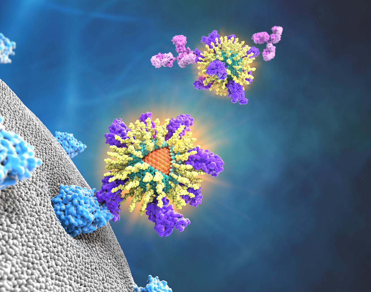 Quantum dots engineered to mimic SARS-CoV-2