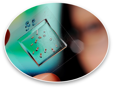 Biological Specimens Icon