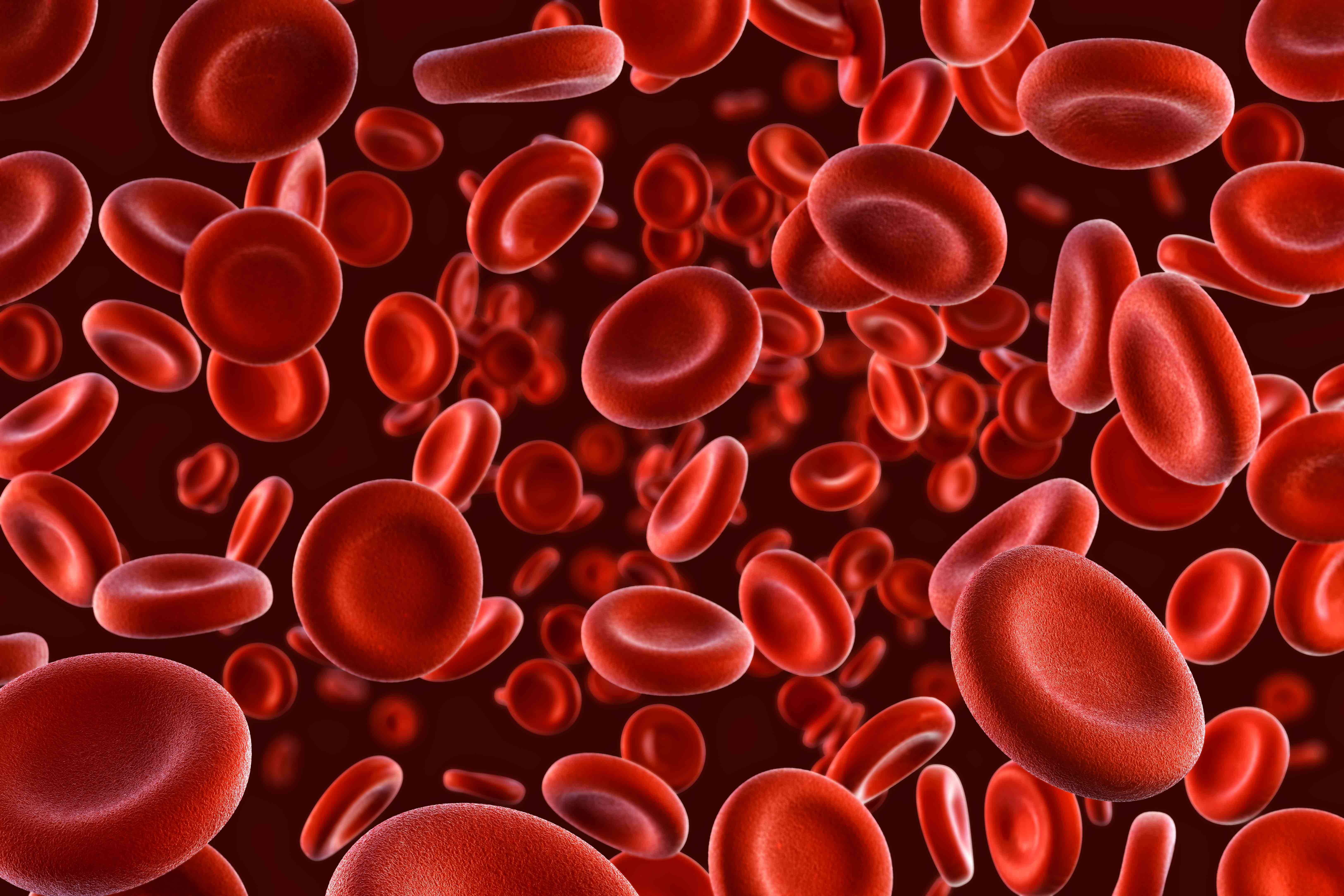 3D illustration of blood cells