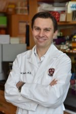 David A. Sinclair, Ph.D.