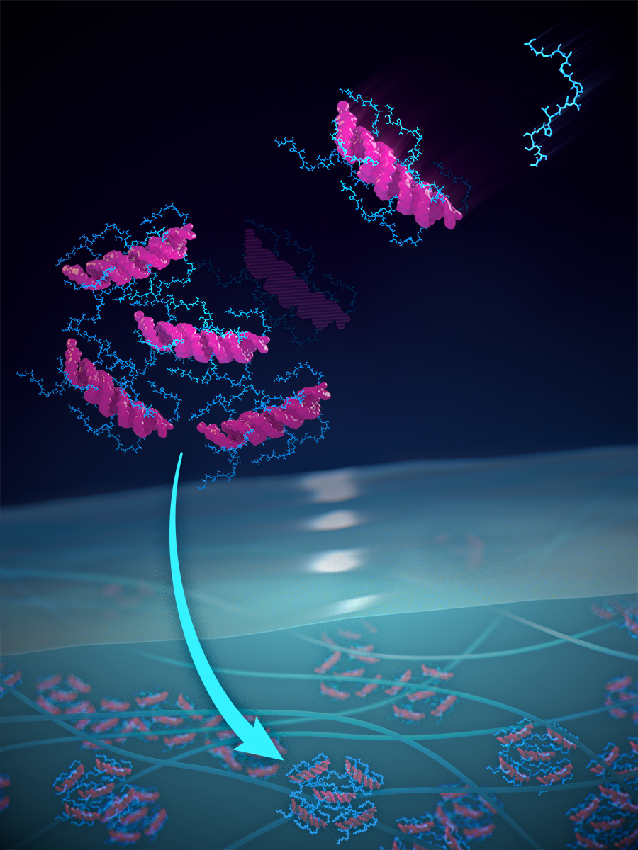 New hydrogel for treating mesothelioma