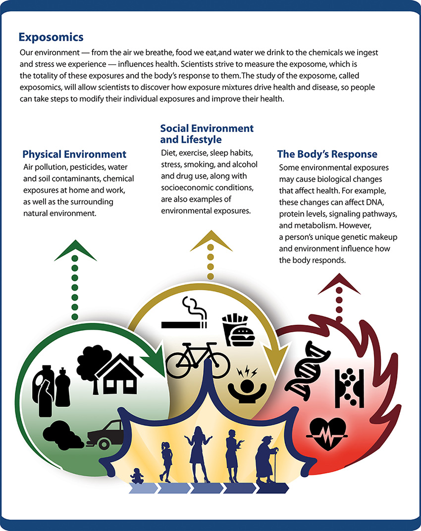 Strategic Plan Exposomics