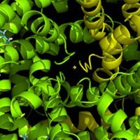 Structural Biology