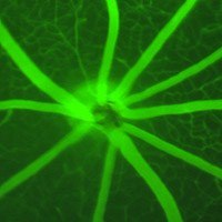 Systems Biology