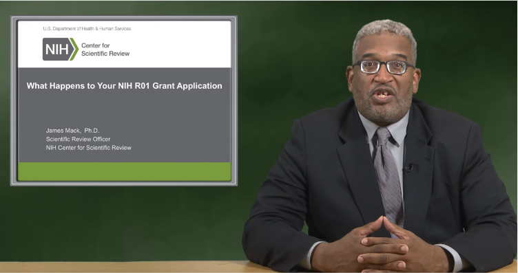 What Happens to Your NIH Grant Application