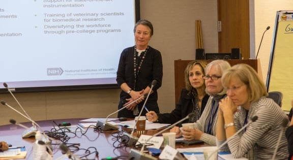 Woman giving a presentation to three adults