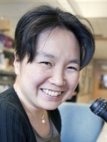 Yukiko Yamashita, Ph.D.