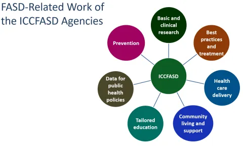 flowchart of areas of work of ICCFASD