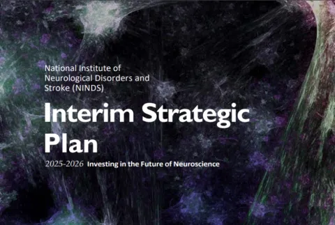 Interim Strategic Plan