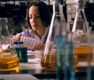 Researcher prepares a monolayer of Vero cells infected with Dengue virus. 