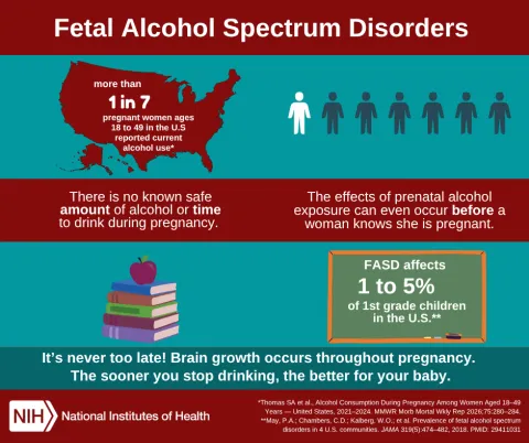 Fetal alcohol spectrum disorders. More than 1 in 7 pregnant women ages 18-49 in the U.S. reported current drinking. There is no known safe amount of alcohol  or time to drink during pregnancy. The effects of prenatal exposure can even occur before a woman knows she's pregnant. It's never too late! Brain growth occurs throughout pregnancy. FASD affects 1 to 5% of 1st grade children in the U.S. The sooner you stop drinking, the better for your baby. 