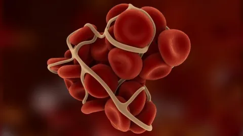 red blood cells illustrating a gene therapy treatment that restored blood clotting and transformed the disease from severe to mild