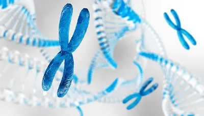 dna.jpeg