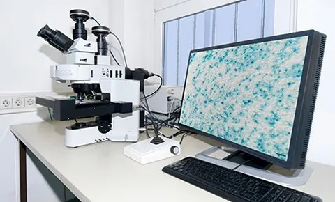 microscope-laptop.jpg