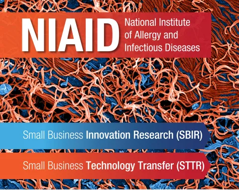 NIAID Small Business Programs Image