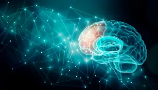 Human brain activity in the frontal lobe illustrated with plexus lines. 