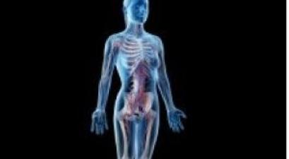 schematic of human body