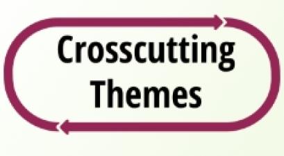 Crosscutting themes