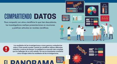 Como Funciona la Investigacion