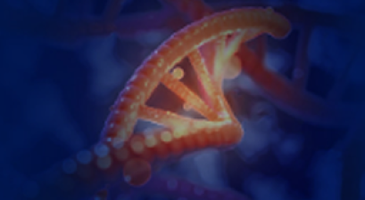 dna strand