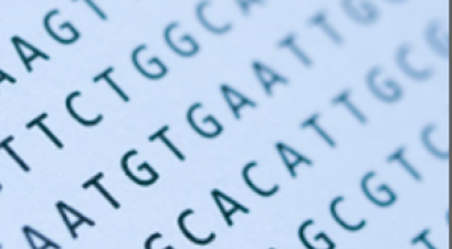elements of dna