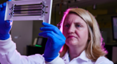 scientist looking at data results