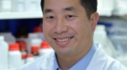 Michael Hoa, M.D., Otolaryngology Surgeon-Scientist