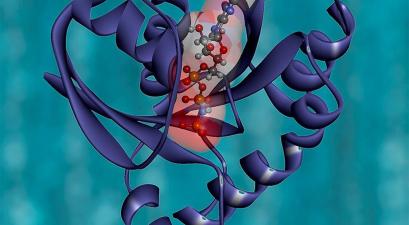 Color illustration of the KRAS protein
