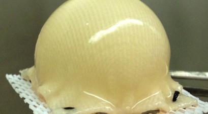 Stem cells engineered to grow cartilage