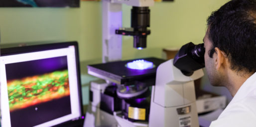 Scientist looking into microscope at computer
