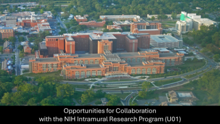 Opportunities for Collaboration with the NIH IRP