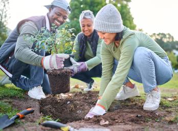 Volunteers planting trees
