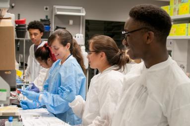 Students working in the lab beside one of their postdoc mentors.